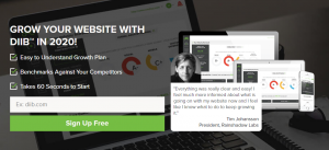 diib SEO - grow your website